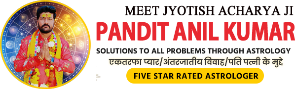 Famous Pandit Anil Kumar